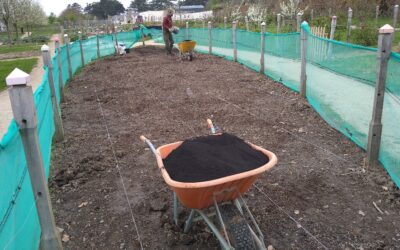 Essay Series – Eliot Coleman “Soil-grown vs soil-less food production”
