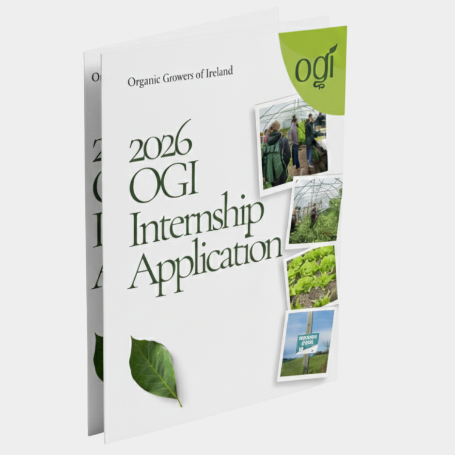 Application Form image 2 Internship Application Form 2026