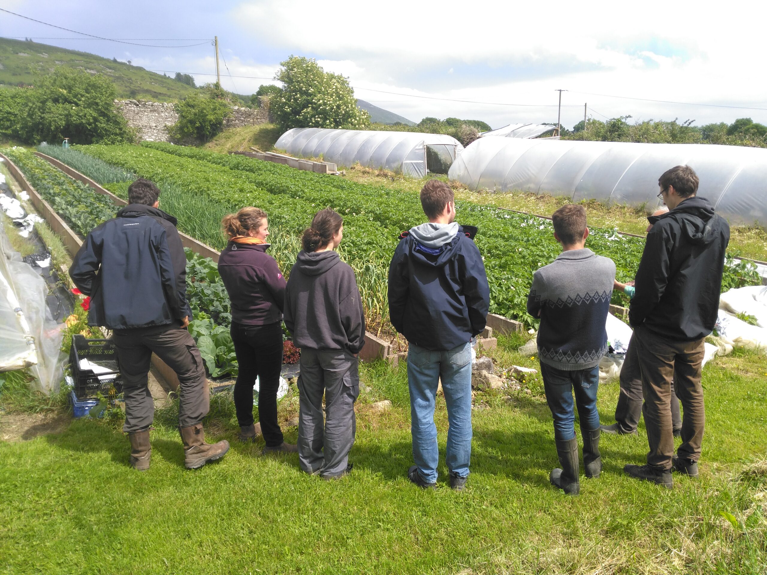 Interns visiting one of the farms involved in the program