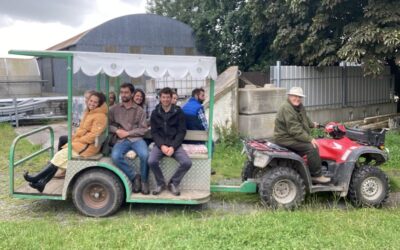 OGI Internship update July 2023