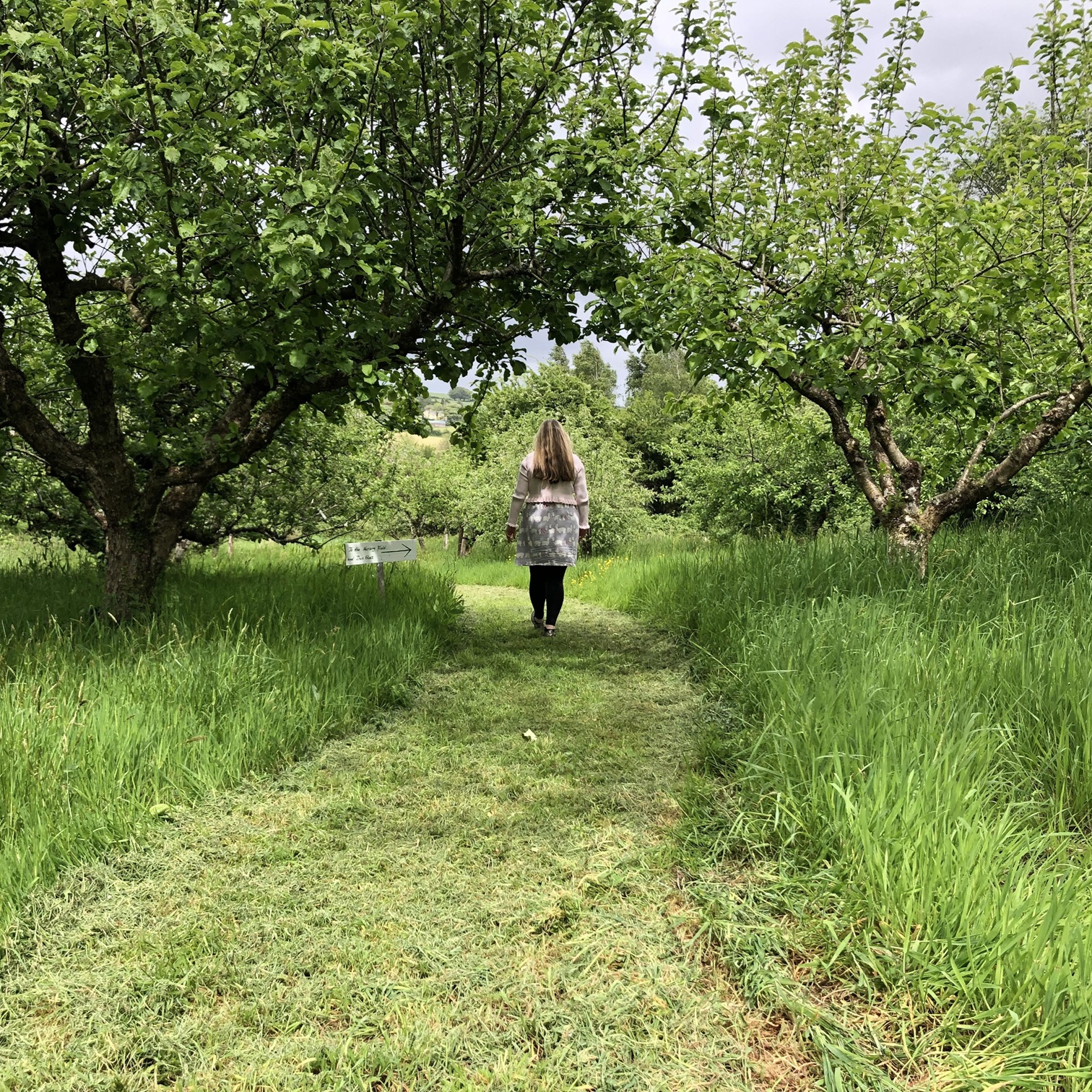 OGI Members Directory Irish Seedsavers