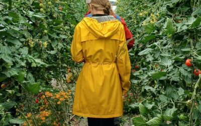 OGI Network Farm Walk & Focus Session at McNally Family Farm