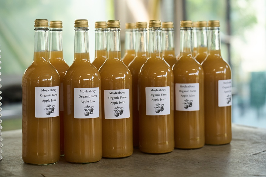 Moyleabbey Farm Walk_0926_Organic Apple Juice OGI Focus Session at Moyleabbey Organic Farm and Teagasc Oak Park Orchard, Sept 2026 - organic apple juice