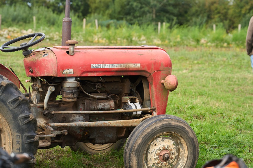 Moyleabbey Organic Farm Walk_0926_Tractor OGI Focus Session at Moyleabbey Organic Farm and Teagasc Oak Park Orchard, Sept 2026 - vintage tractor still going strong