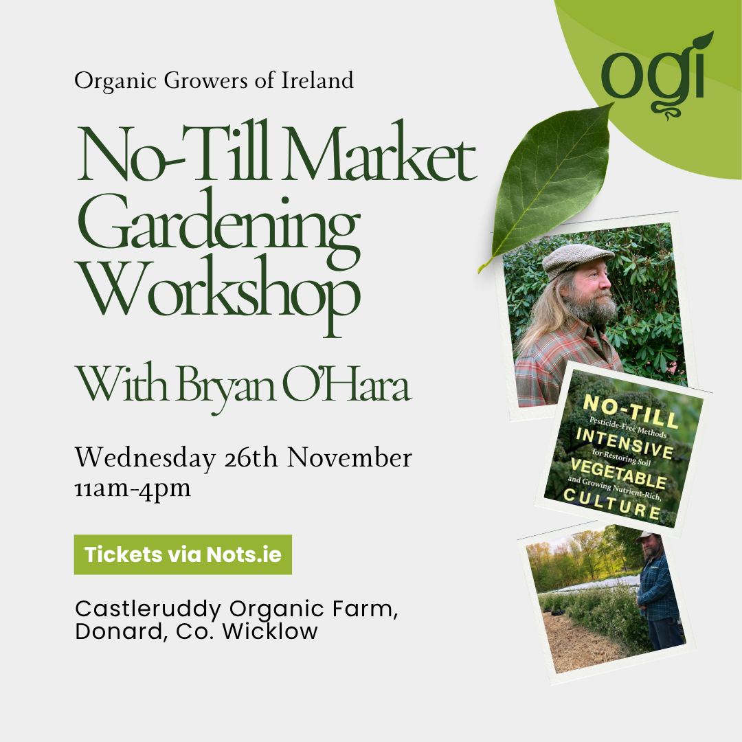 Wednesday<br />
26th November<br />
11am-4pm