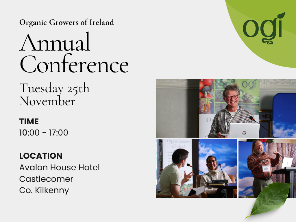 OGI Conference November 2025