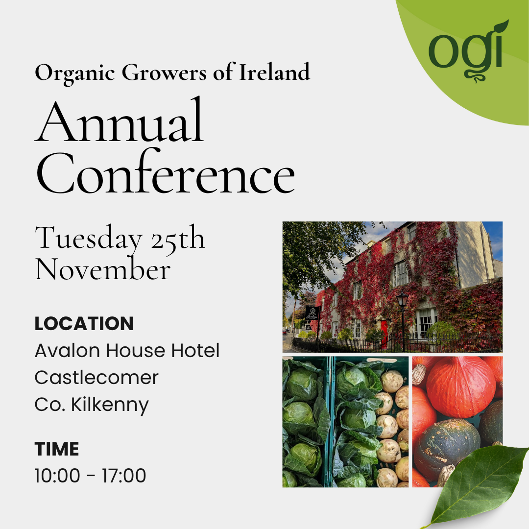 OGI Conference 2025