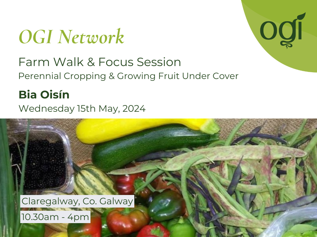OGI Farm Walk & Focus Session at Bia Oisin 2024