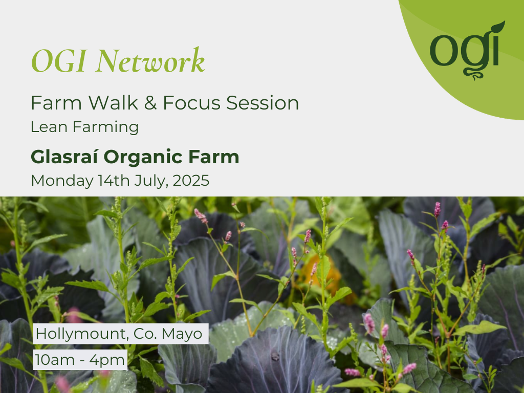 OGI Farm Walk & Focus Session at Glasrai Organic Farm 2024