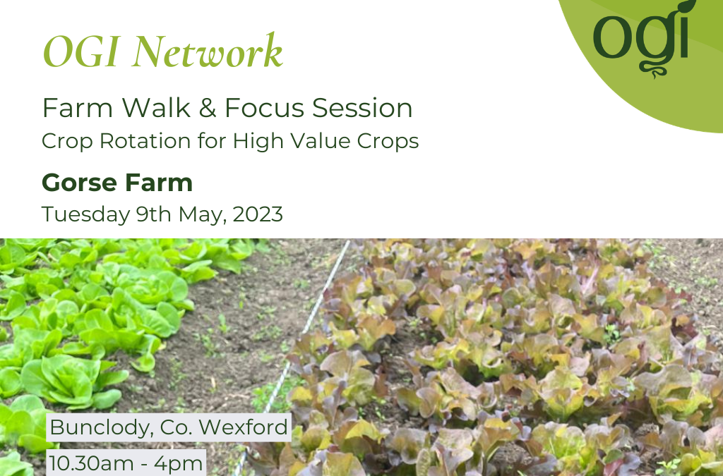 Farm Walk & Focus Session at Gorse Farm