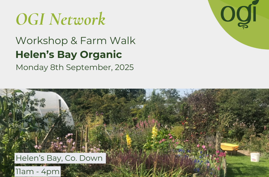 Farm Walk & Focus Session at Helen’s Bay Organic