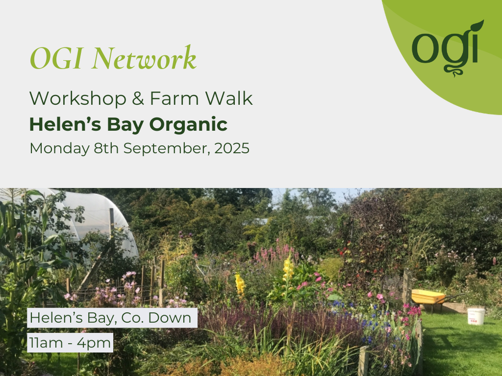 OGI Farm Walk & Focus Session at Helen's Bay Organic
