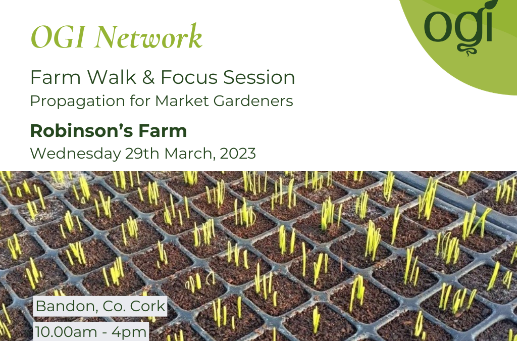 Farm Walk & Focus Session at Robinson’s Farm