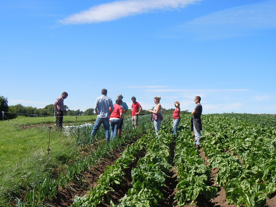 OGI events for Organic growers - summer farm walk