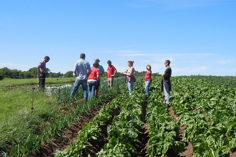 Join the OGI - OGI members on a farm walk