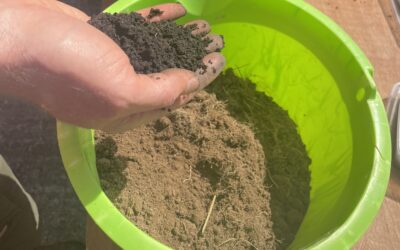 OGI Internship Soil Workshop Day