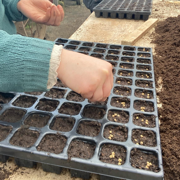 OGI Internship in Organic Horticulture Propagation Workshop OGI Internship in Organic Horticulture Propagation workshop