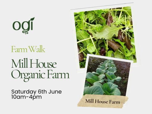 OGI Member Events Salad Growing at Mill House Farm 6 June 2026