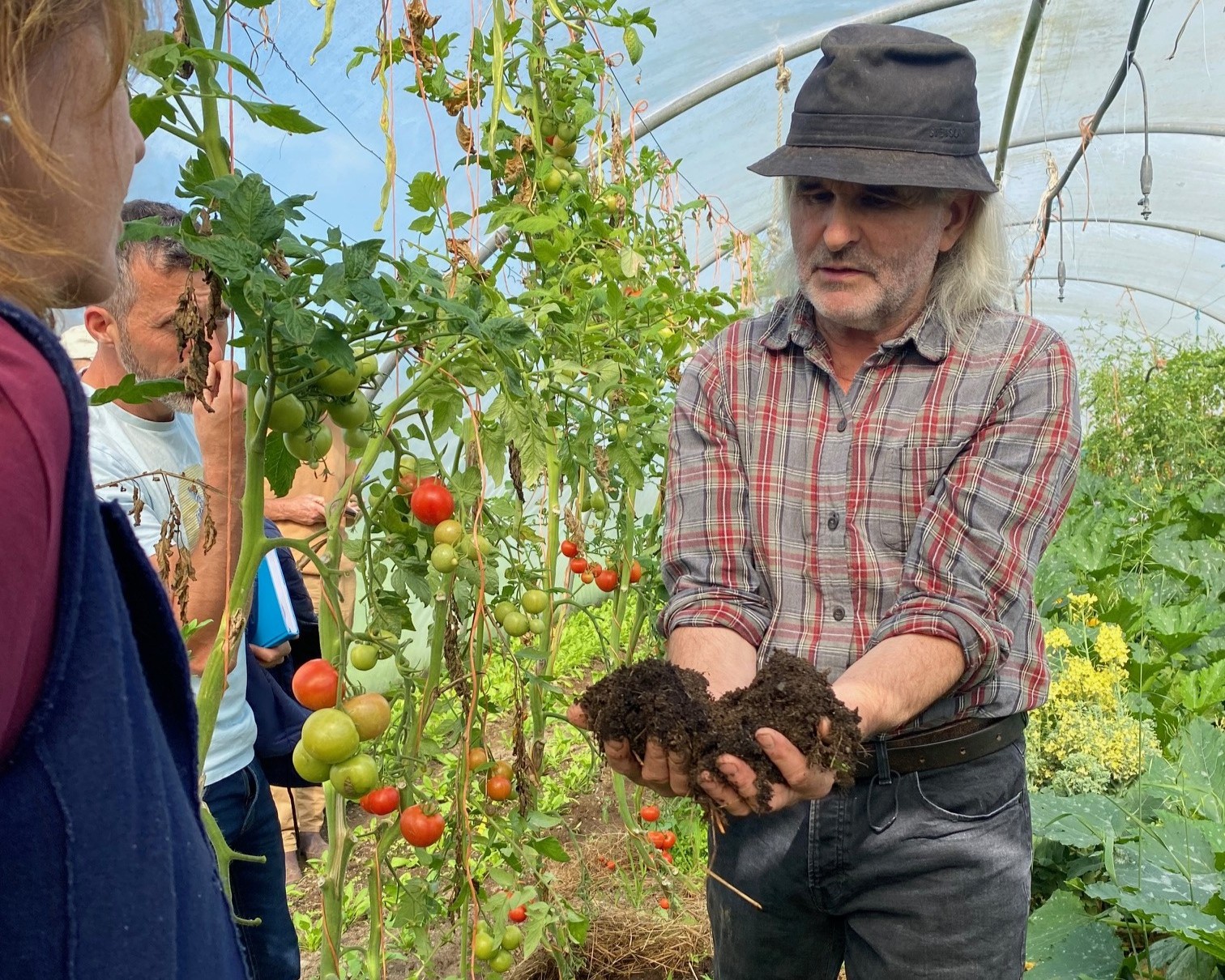 OGI Events - Farm Walk - polytunnel at Jim Cronins Farm