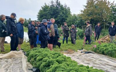 OGI Network: Lean farming at Glasraí Organic Farm