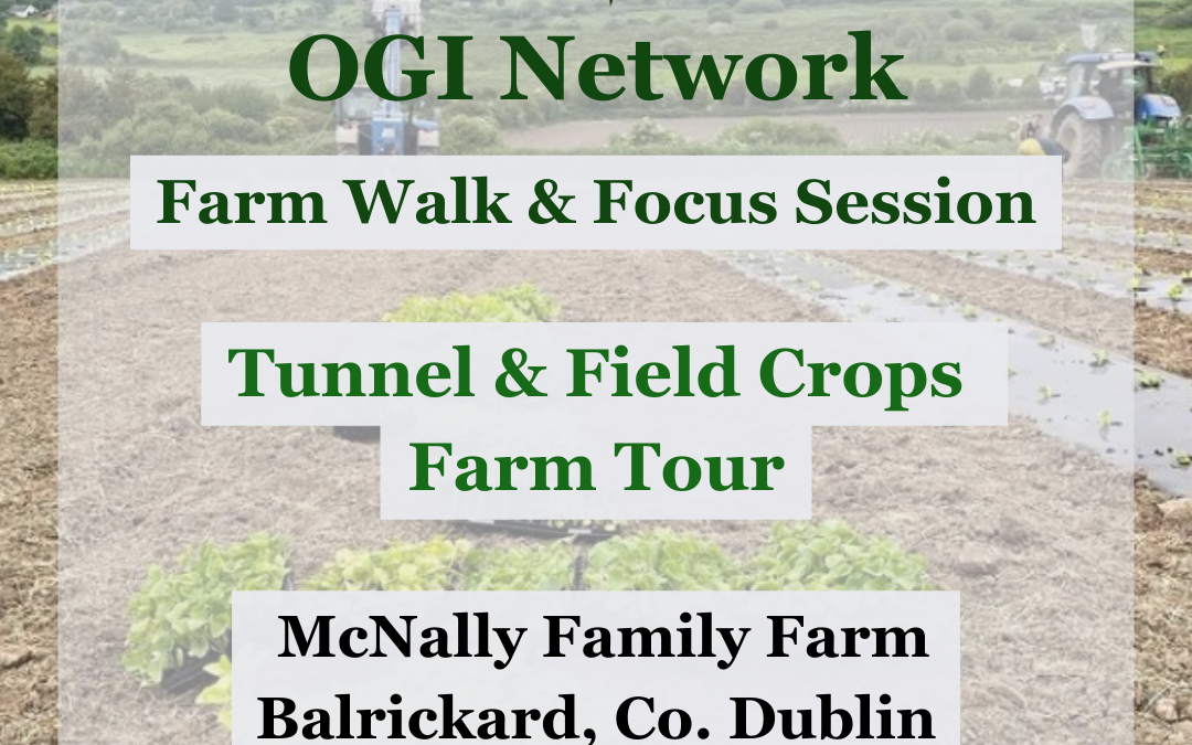 Tunnel & Field Crops Farm Tour