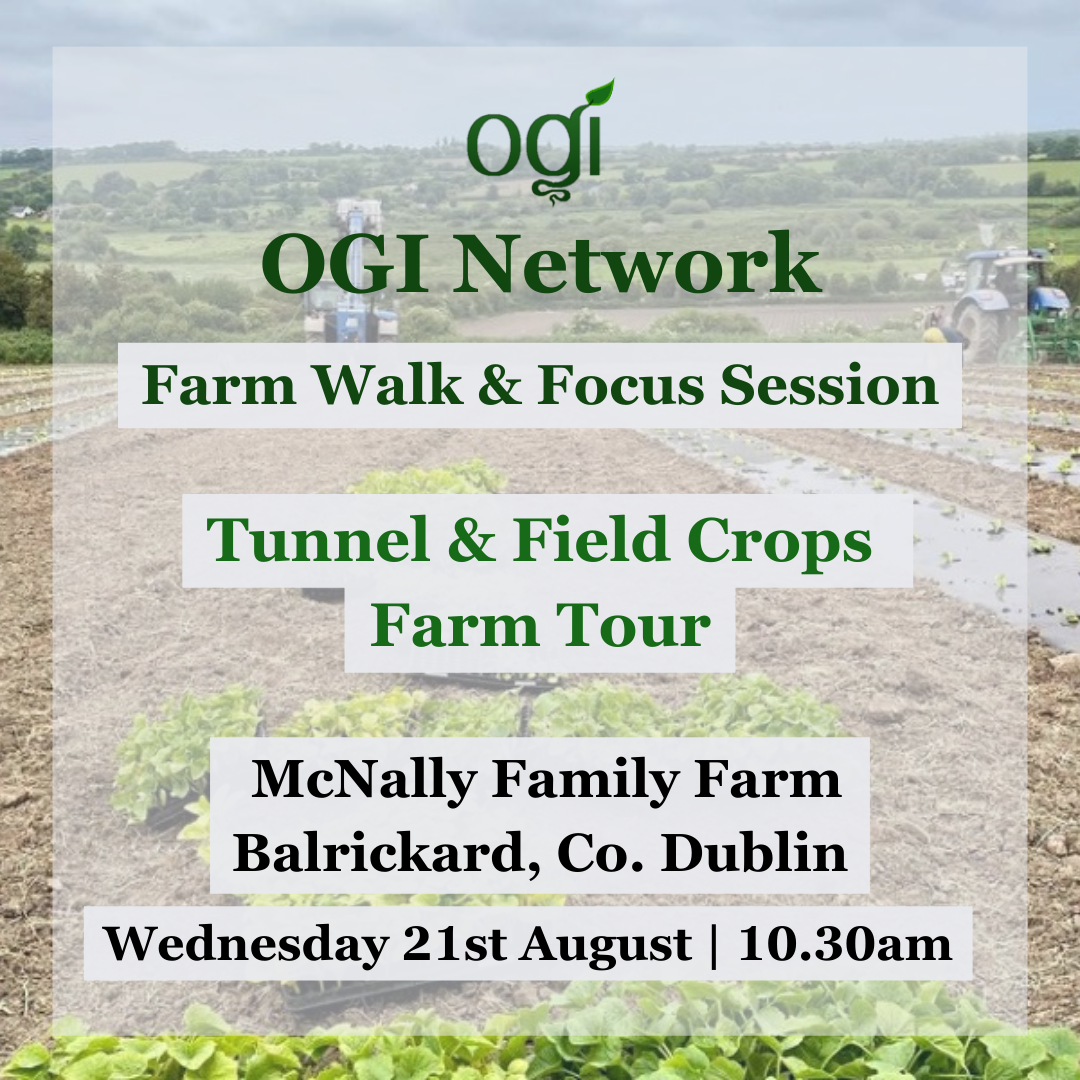 OGI Network Farm Walk & Focus Session at McNally Family Farm 21 August 2024