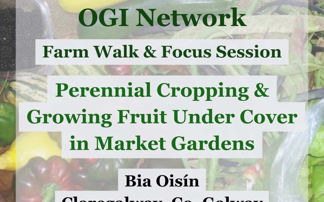 Perennial Cropping & Growing Fruit Under Cover in Market Gardens