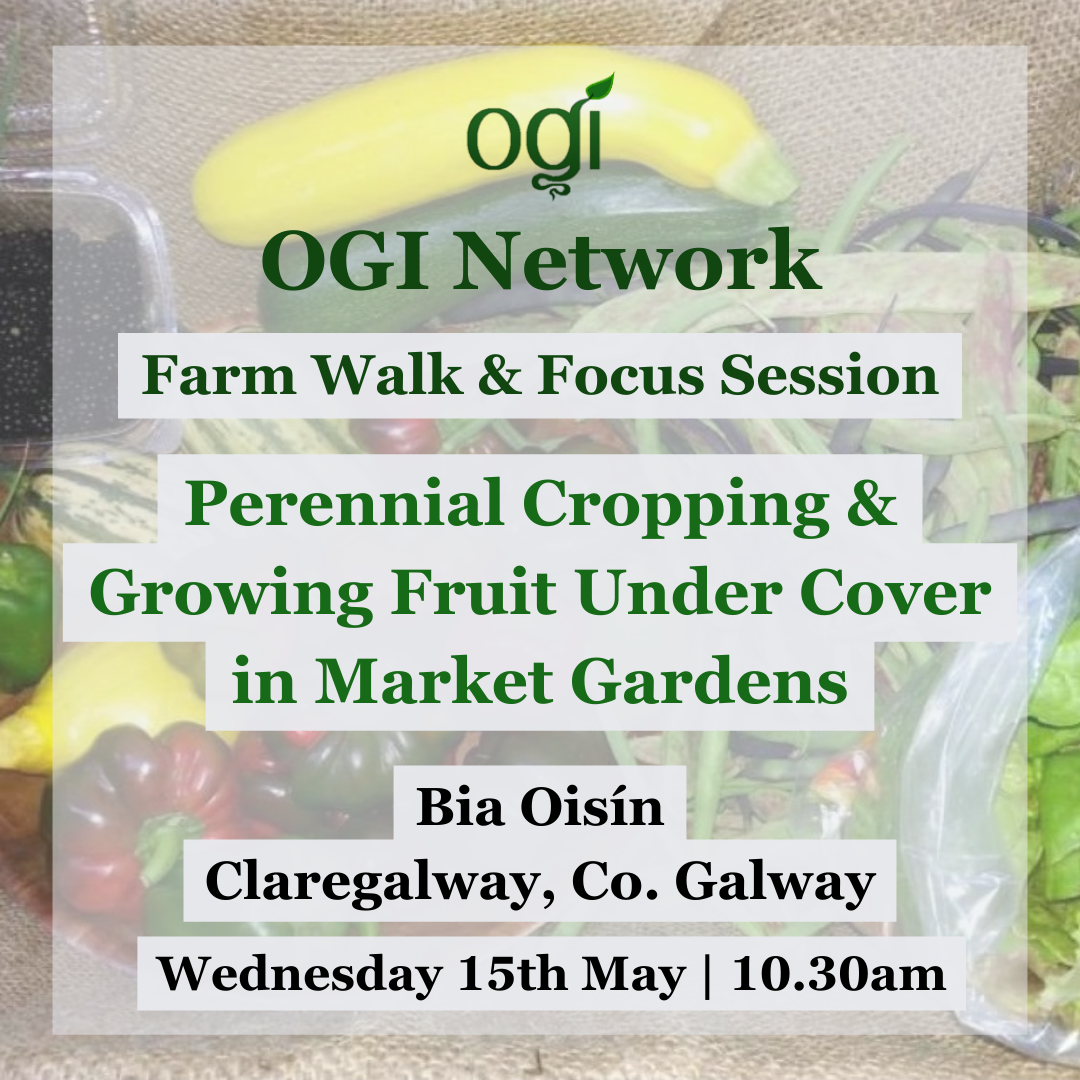 OGI Network Event 24 May2024 Bia Oisin