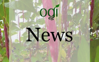 OGI News