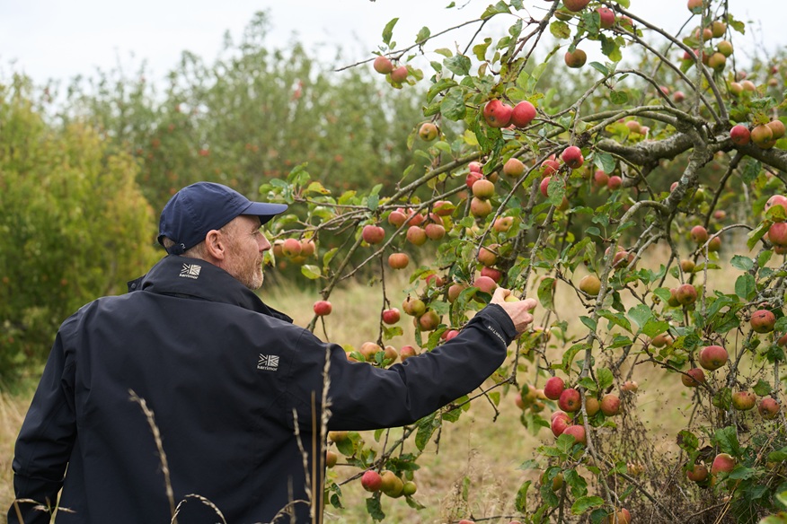 OGI Oak Park Orchard Farm Walk_0926_In the orchard Orchard, Sept 2026 - in the orchard