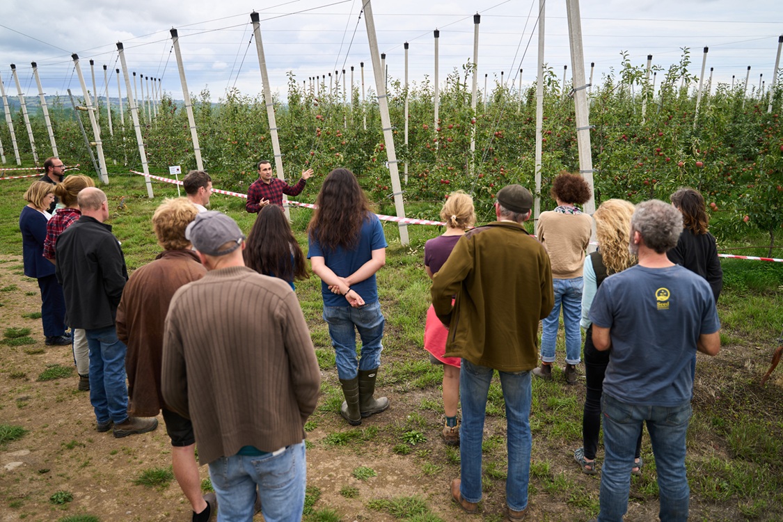 OGI Oak Park Orchard Farm Walk_0926_Orchard Orchard, Sept 2026 - in the orchard