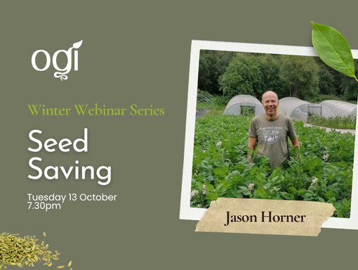 OGI Webinar - Seed Saving with Jason Horner