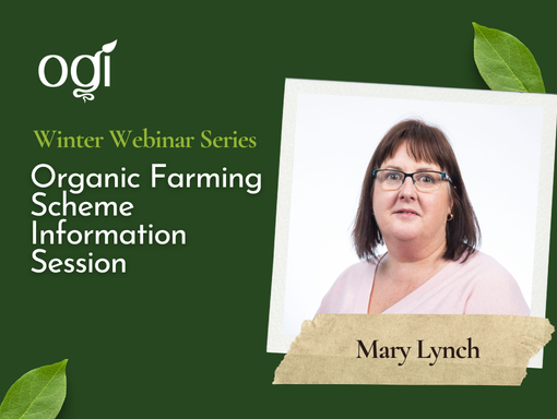 OGI Winter Webinar OFS Information Session with Mary Lynch Dec 2024
