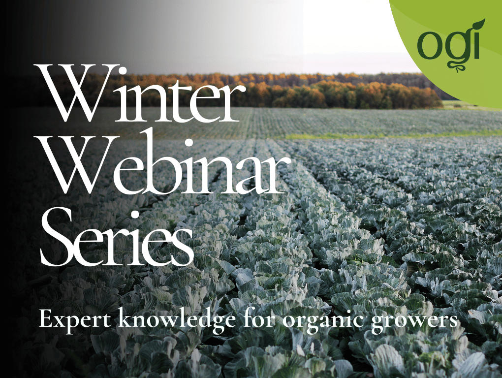 OGI Winter webinar series