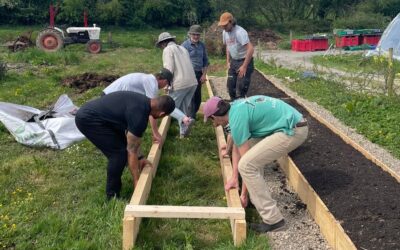 OGI Internship Update May 2026