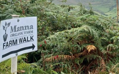 OGI Network Farm Walk & Focus Session at Manna Organic Farm