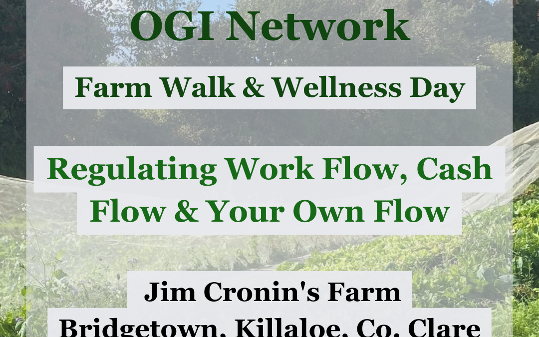 Regulating Work Flow, Cash Flow & Your Own Flow