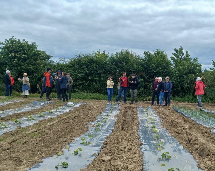 OGI_Network_RiversfieldFarm_FarmWalkFocusSession_180624_2 OGI Network Farm Walk Riversfield Organic Farm June 2024