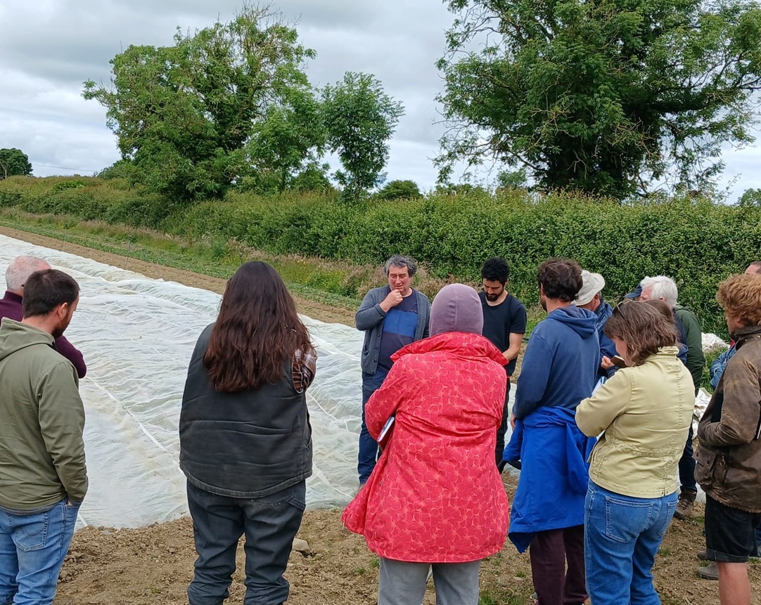 OGI_Network_RiversfieldFarm_FarmWalkFocusSession_180624_7 OGI Network Farm Walk Riversfield Organic Farm June 2024