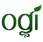 OGI Newsletter