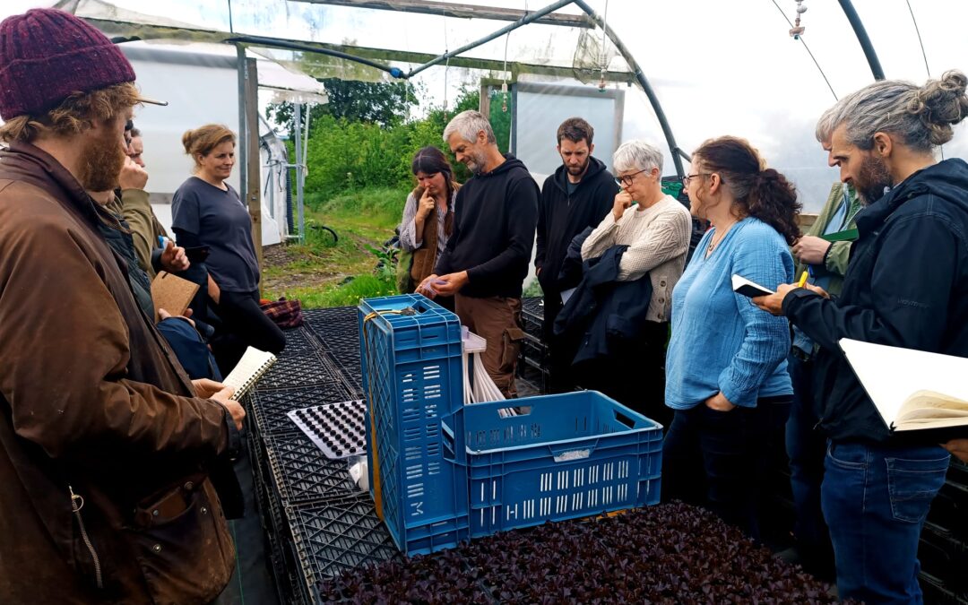 OGI Members’ Farm Walk & Focus Session at Mill House Organic Farm