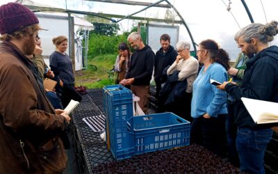 OGI Members’ Farm Walk & Focus Session at Mill House Organic Farm