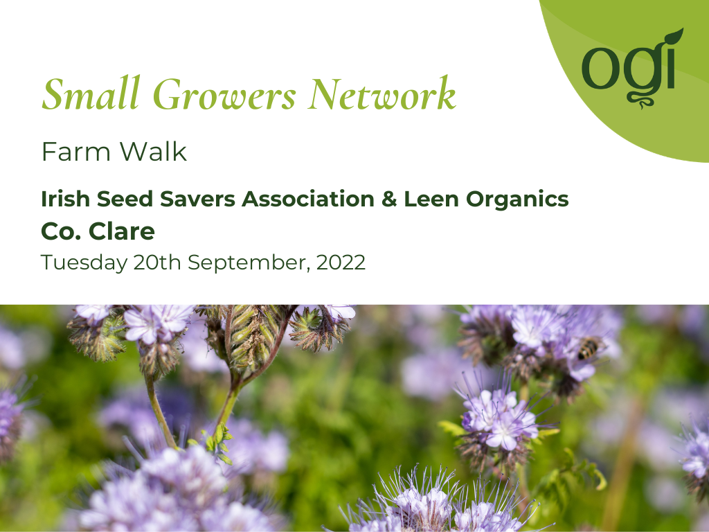 Small Growers Network Farm Walk September 2022
