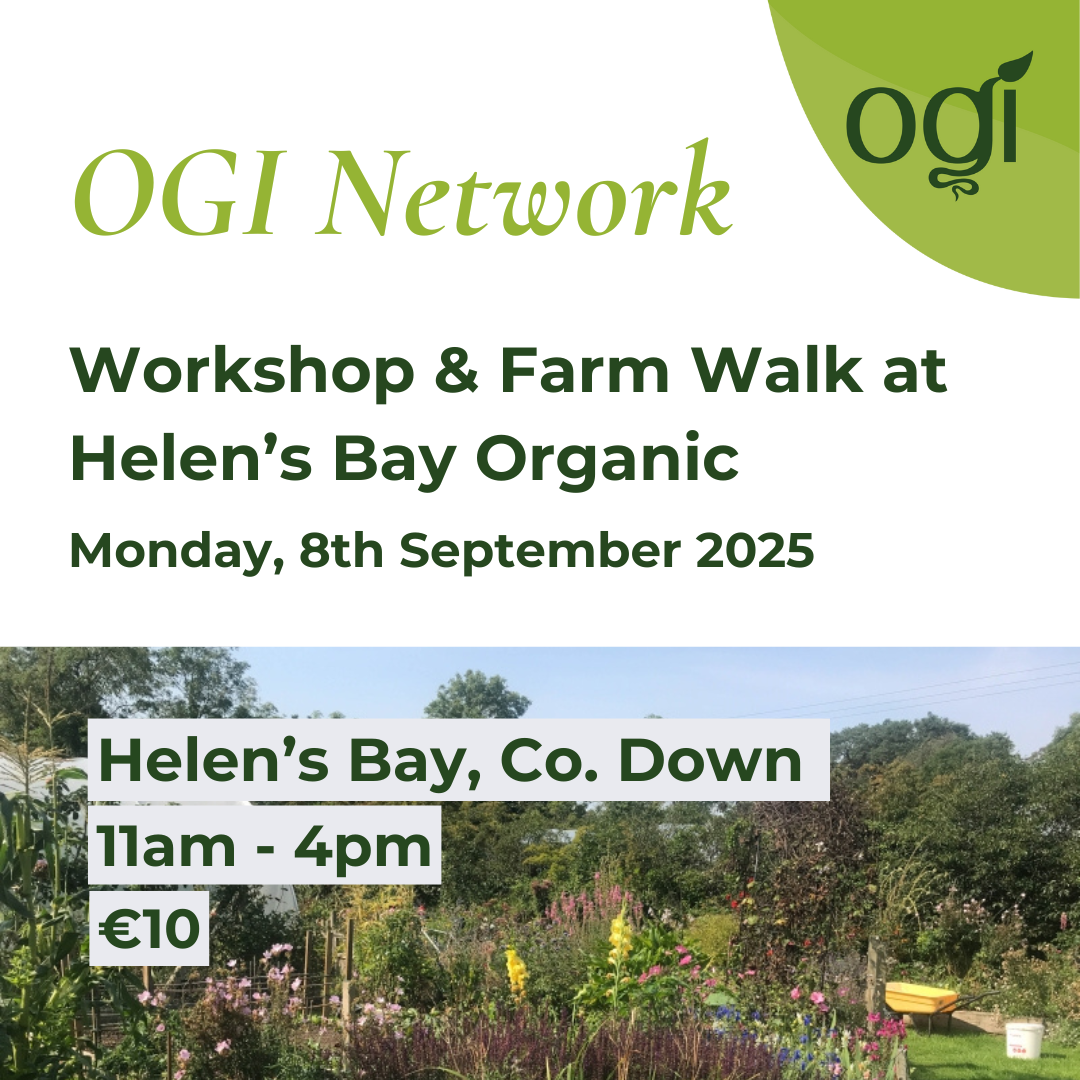 OGI Network Workshop & Farm Walk at Helen’s Bay Organic