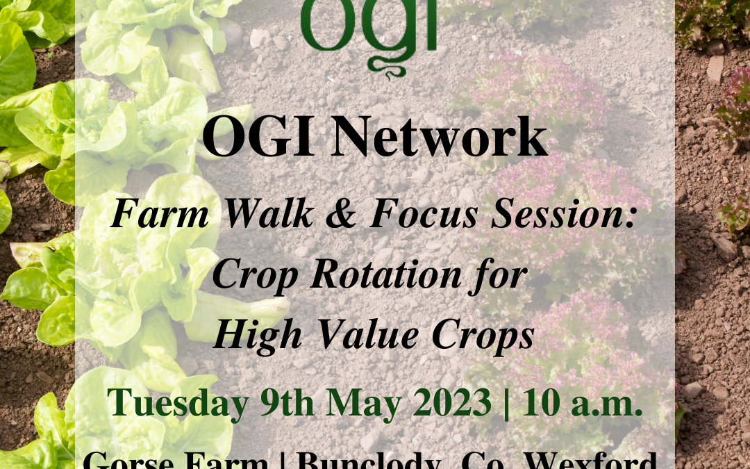 Farm Walk & Focus Session: Crop Rotation for High Value Crops
